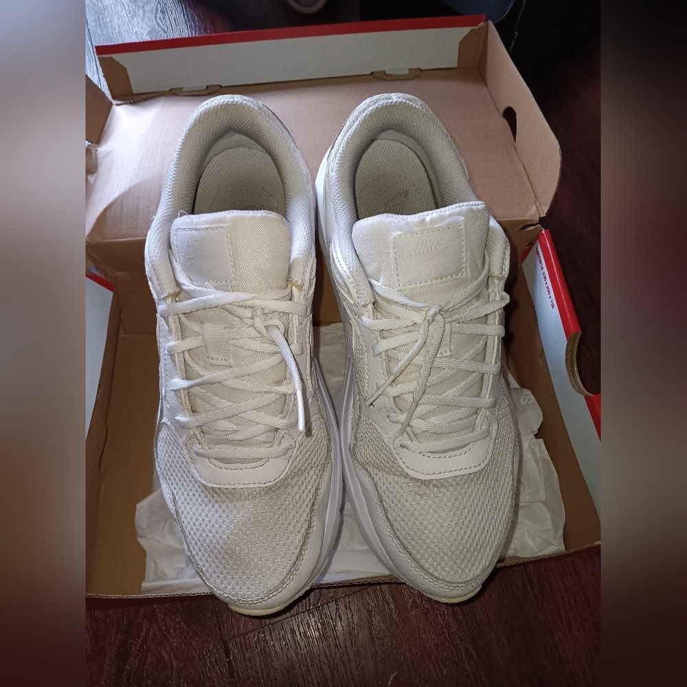 Nike air Max shoes